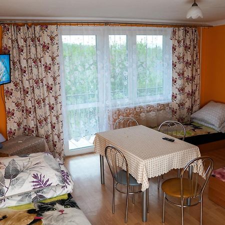Kwatery Prywatne U Gosi Nad Solina ソリナ エクステリア 写真