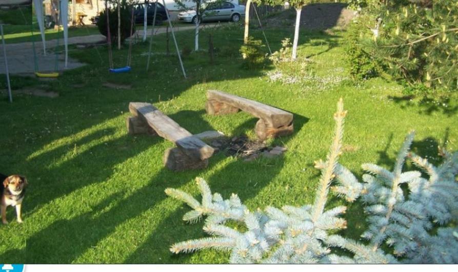 Kwatery Prywatne U Gosi Nad Solina ソリナ エクステリア 写真